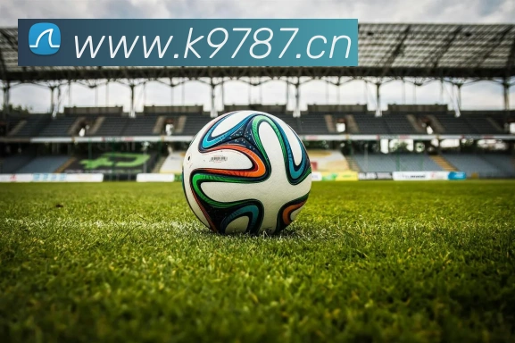 ayx官网登录入口网页发展历程